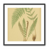 Fern fronds on tan paper