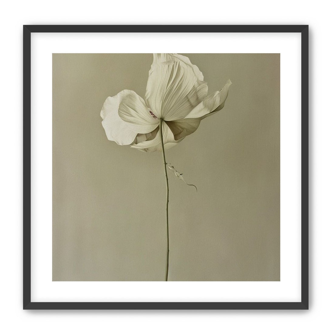 Ivory bloom in gray air
