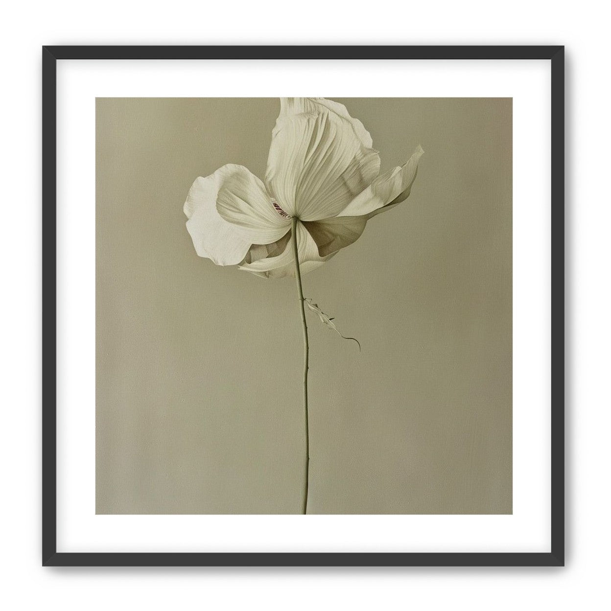 Ivory bloom in gray air