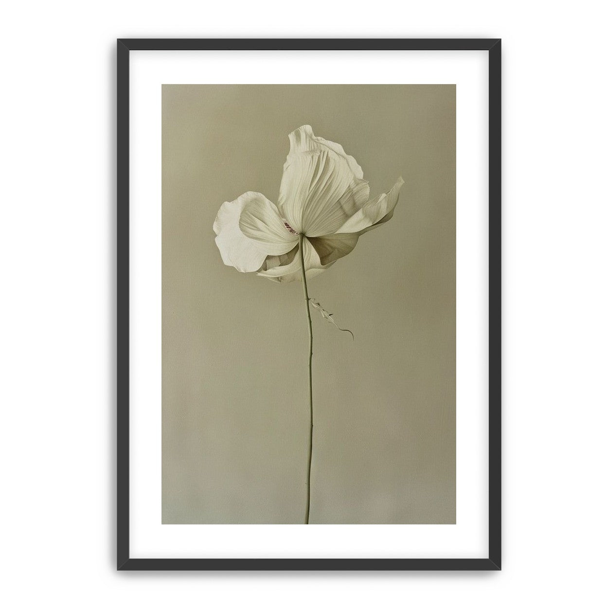 Ivory bloom in gray air