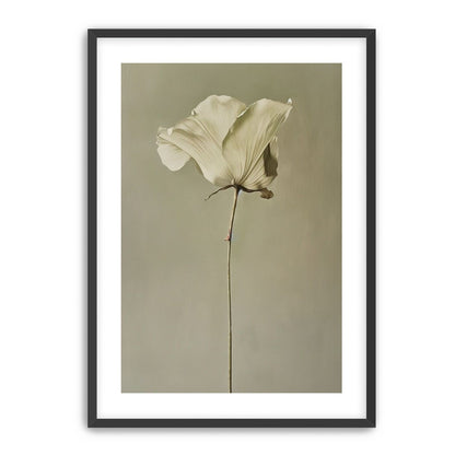 One flower and its hush