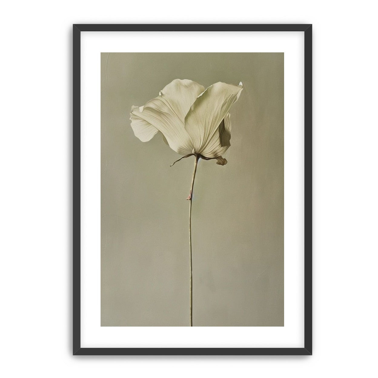 One flower and its hush