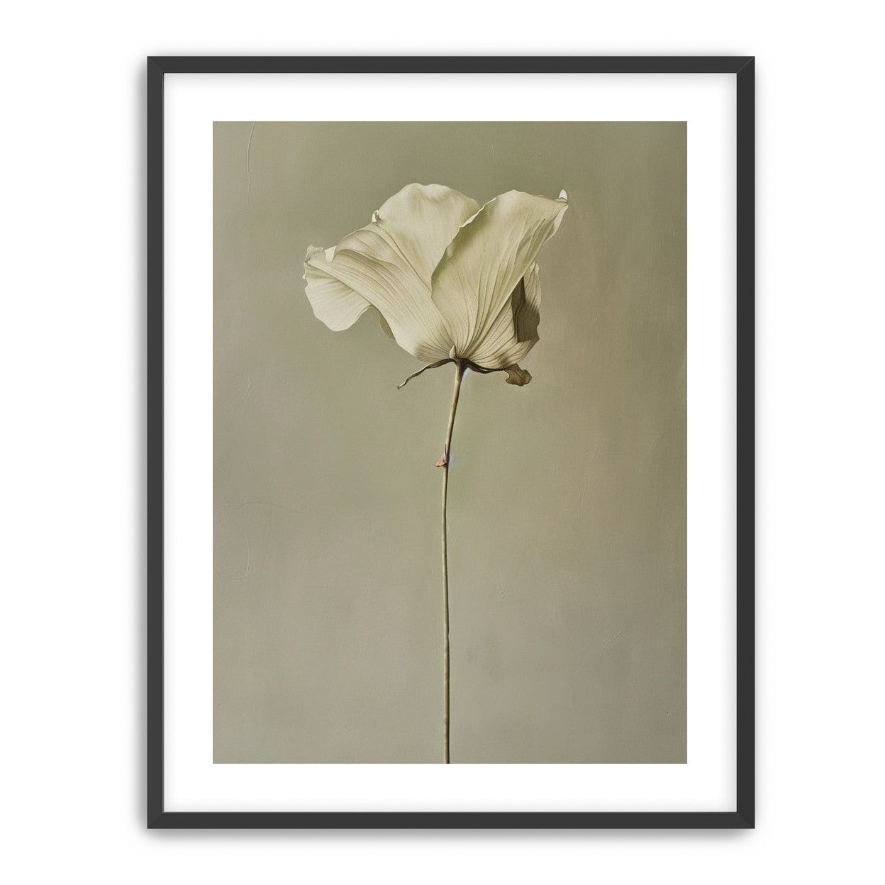 One flower and its hush