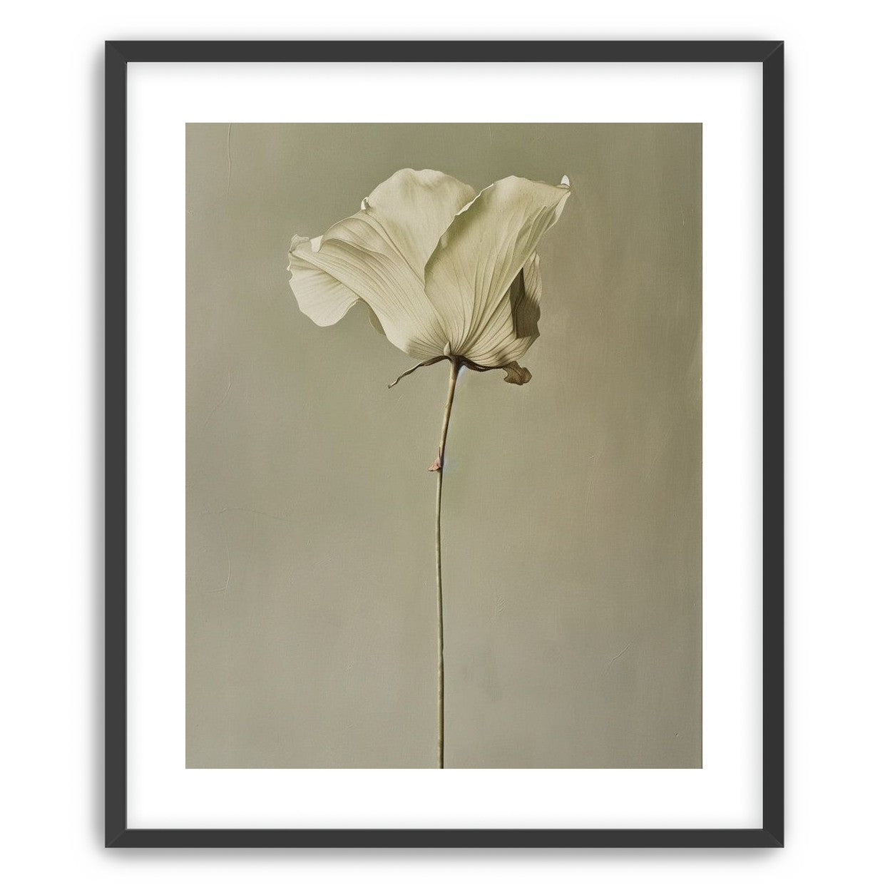 One flower and its hush