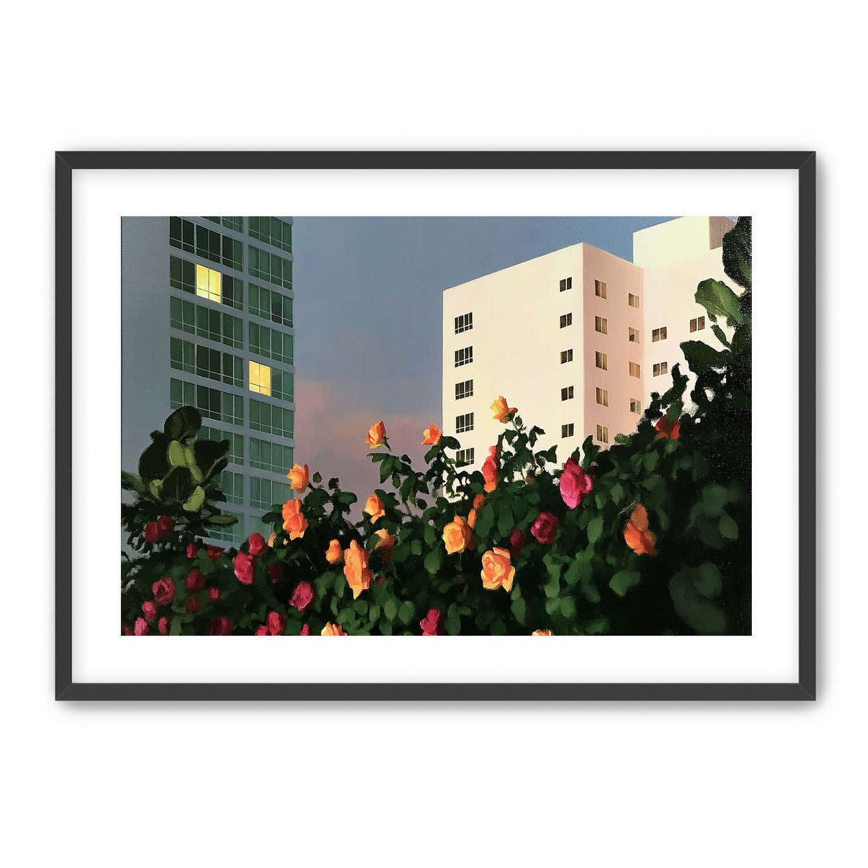Roses below lit windows