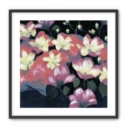 Flowers waking in the dark