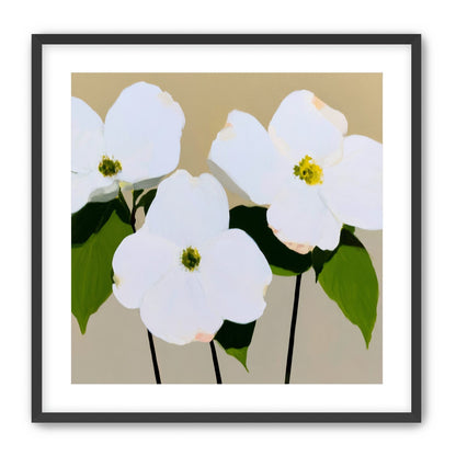 Three white flowers above purple