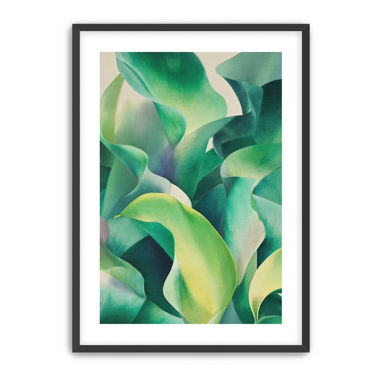 Calla lilies crowd the light