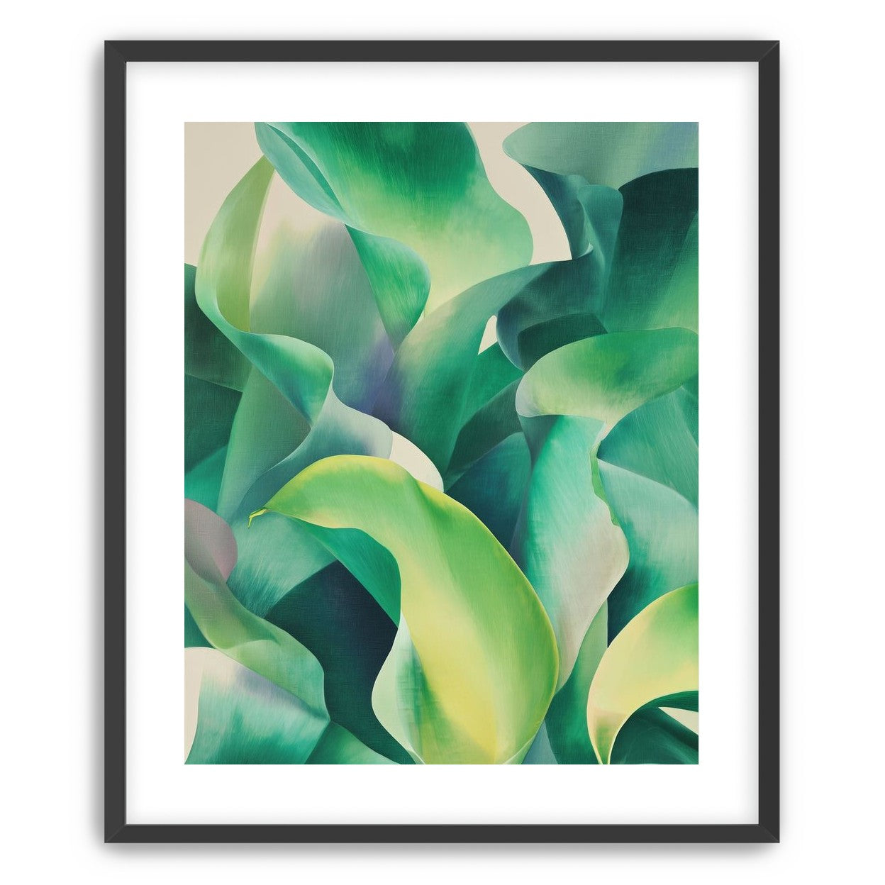 Calla lilies crowd the light
