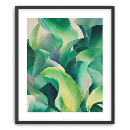 Calla lilies crowd the light