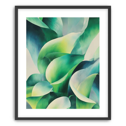 Calla lilies among green shadows