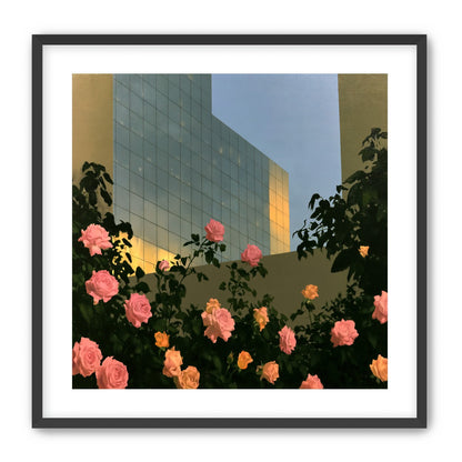 Roses against the glass wall