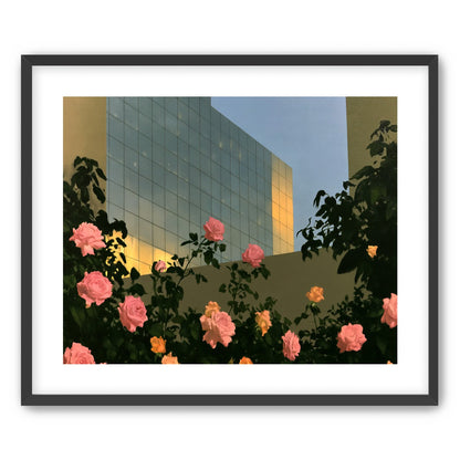 Roses against the glass wall