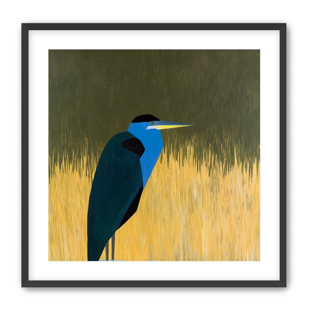 Blue bird in yellow grass