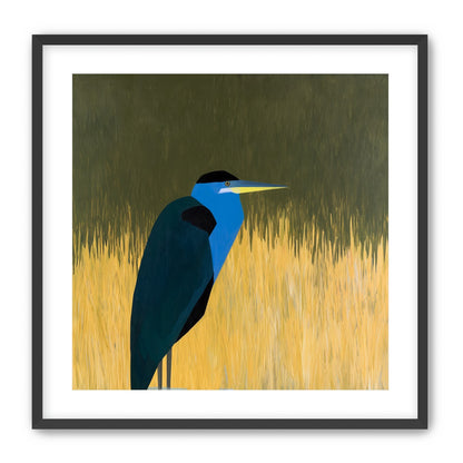 Blue bird in yellow grass