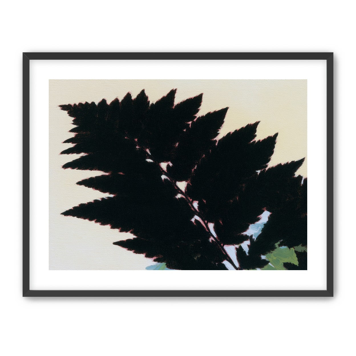 Black leaves on pale ground