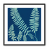 Fern shadows in blue