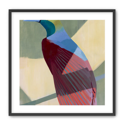 Teal throat on maroon wing