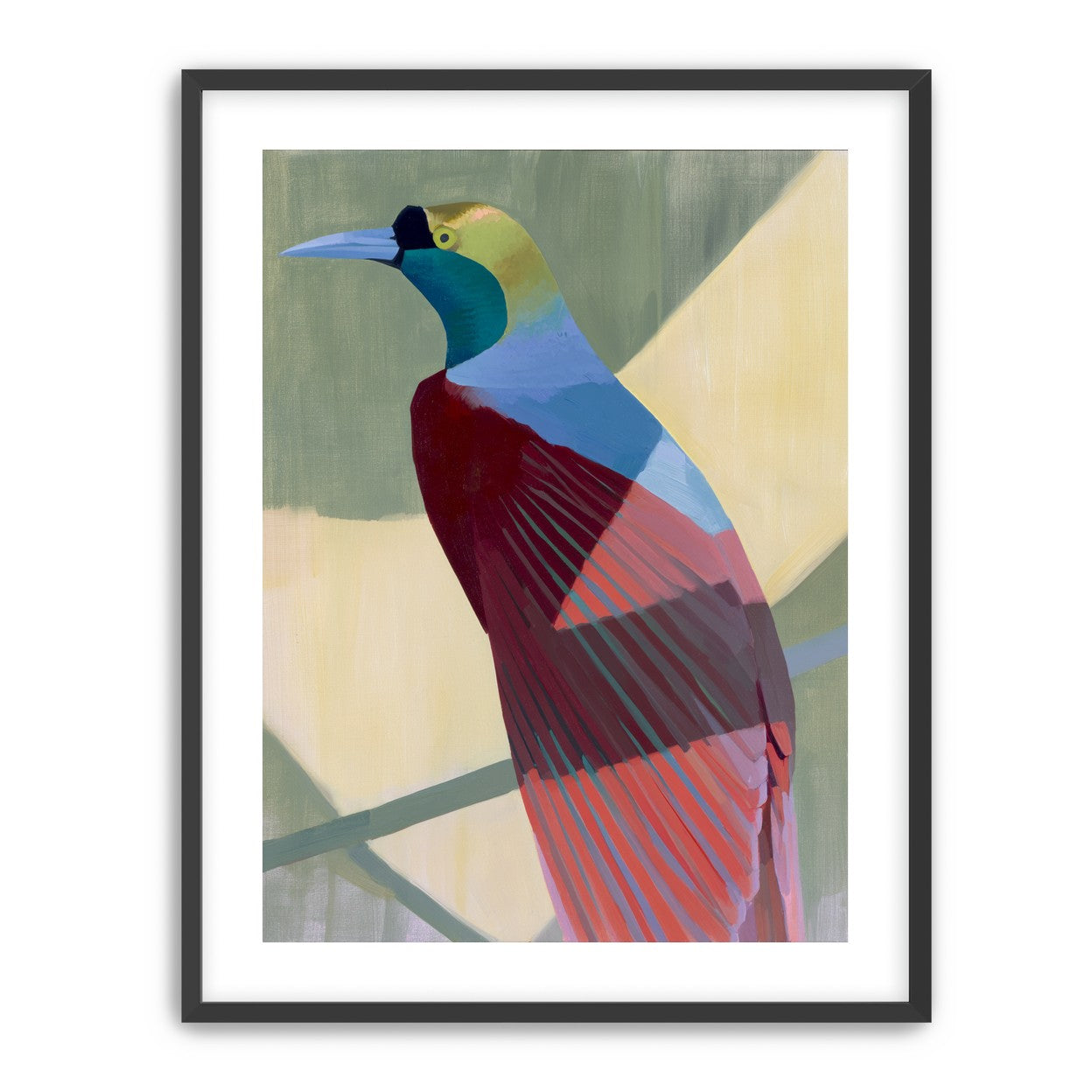 Teal throat on maroon wing