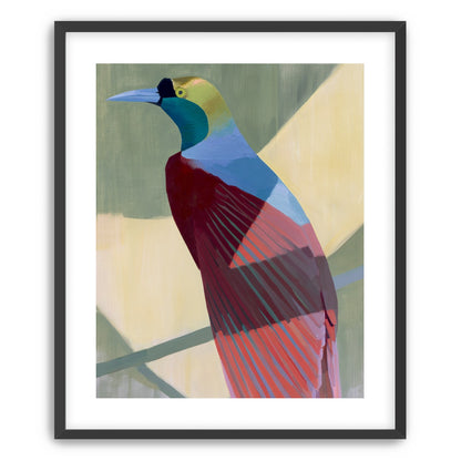 Teal throat on maroon wing