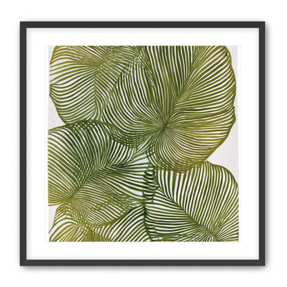 Palm leaves pressed together