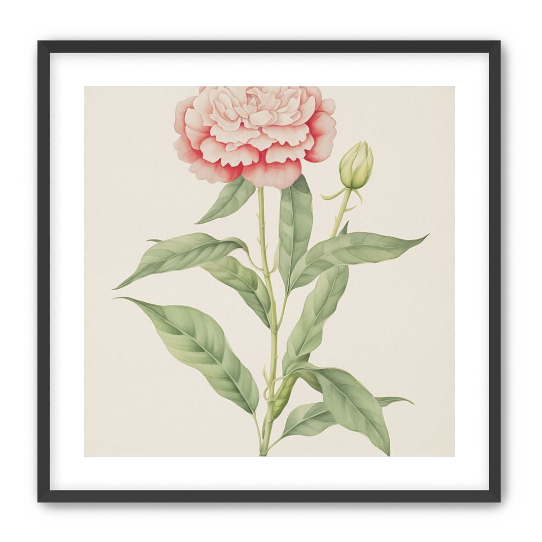 Delicate Blush