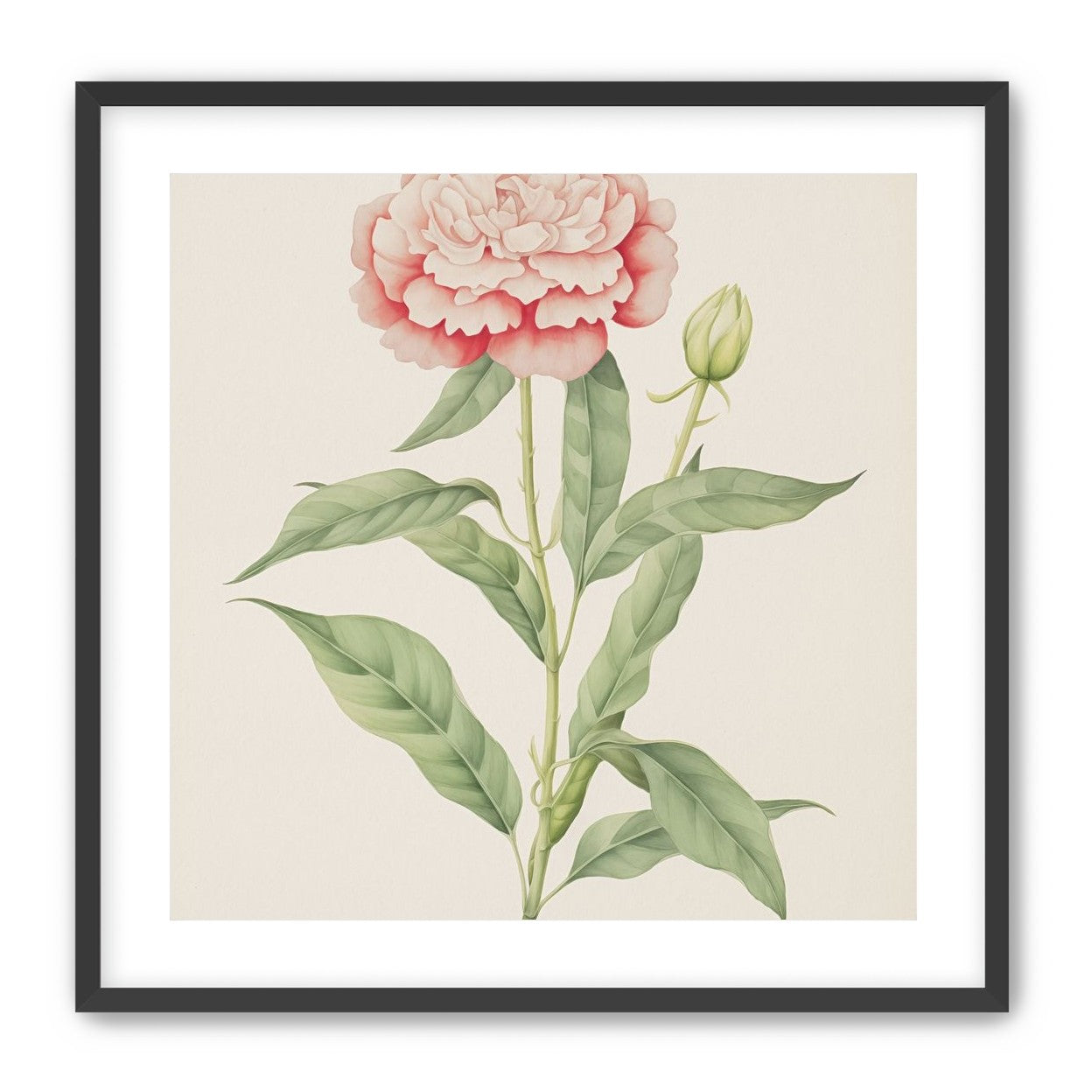 Delicate Blush