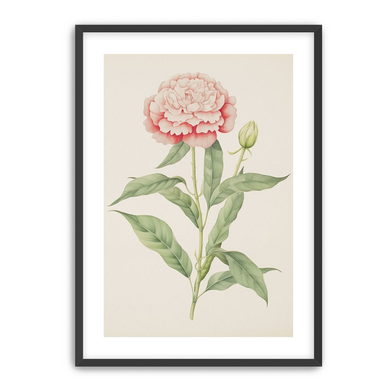 Delicate Blush