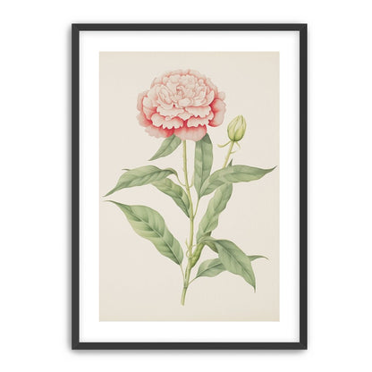 Delicate Blush