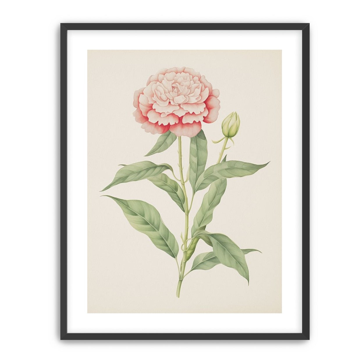 Delicate Blush