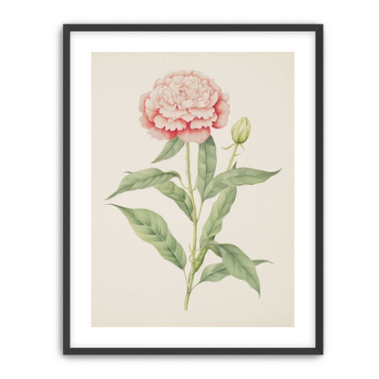 Delicate Blush