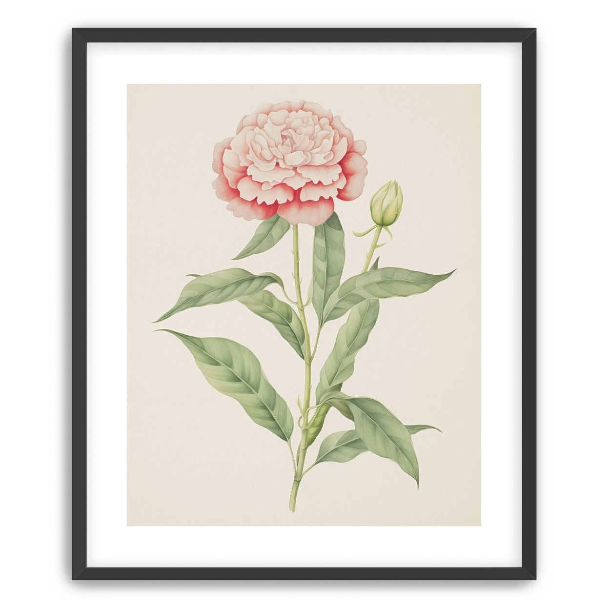 Delicate Blush