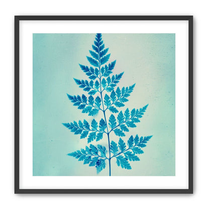 stems and leaves