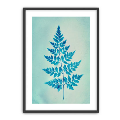 stems and leaves