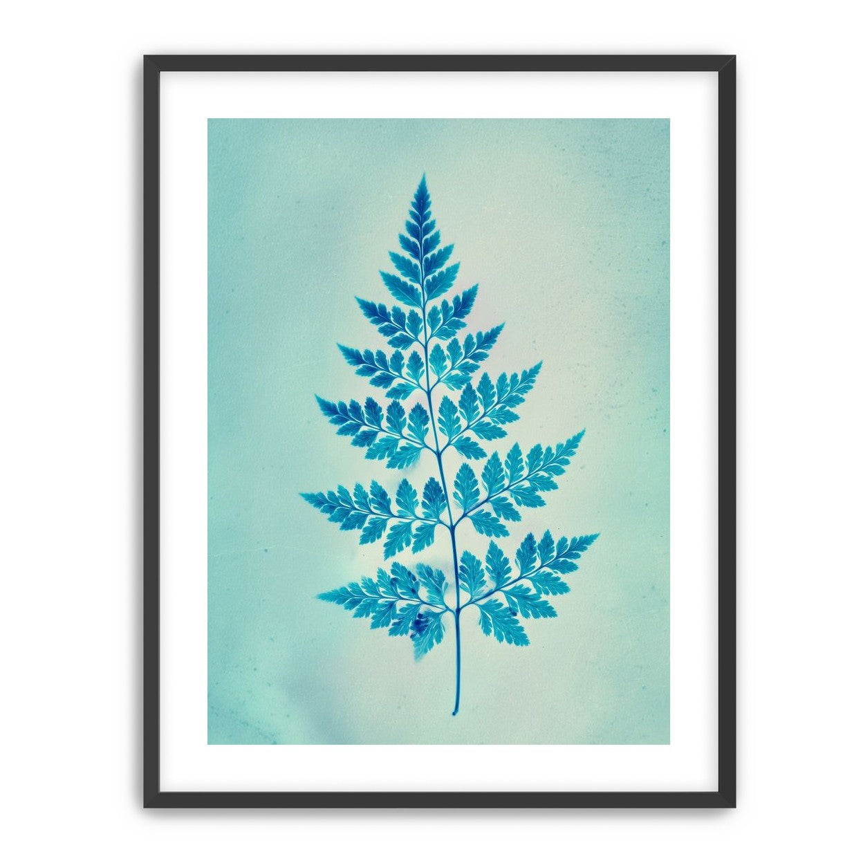 stems and leaves
