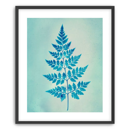 stems and leaves