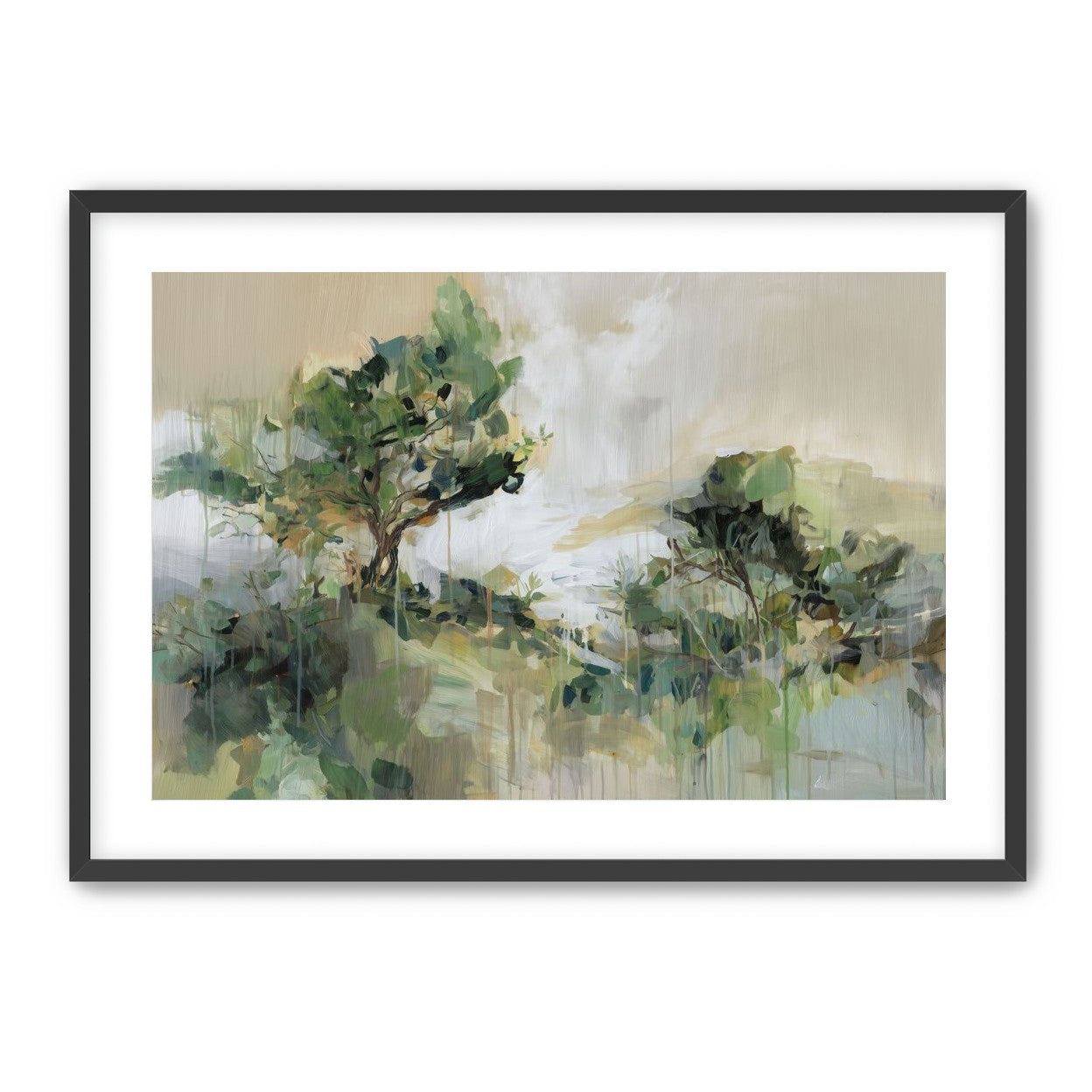 Tree Canopies in Pale Light