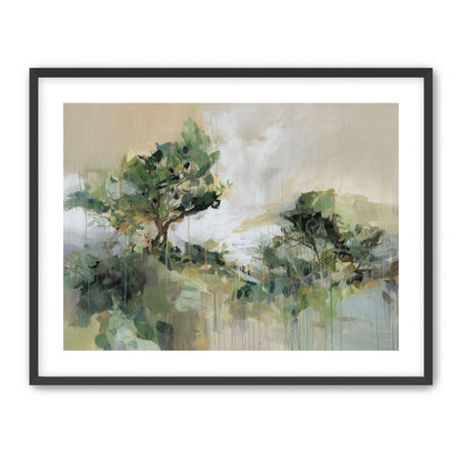 Tree Canopies in Pale Light