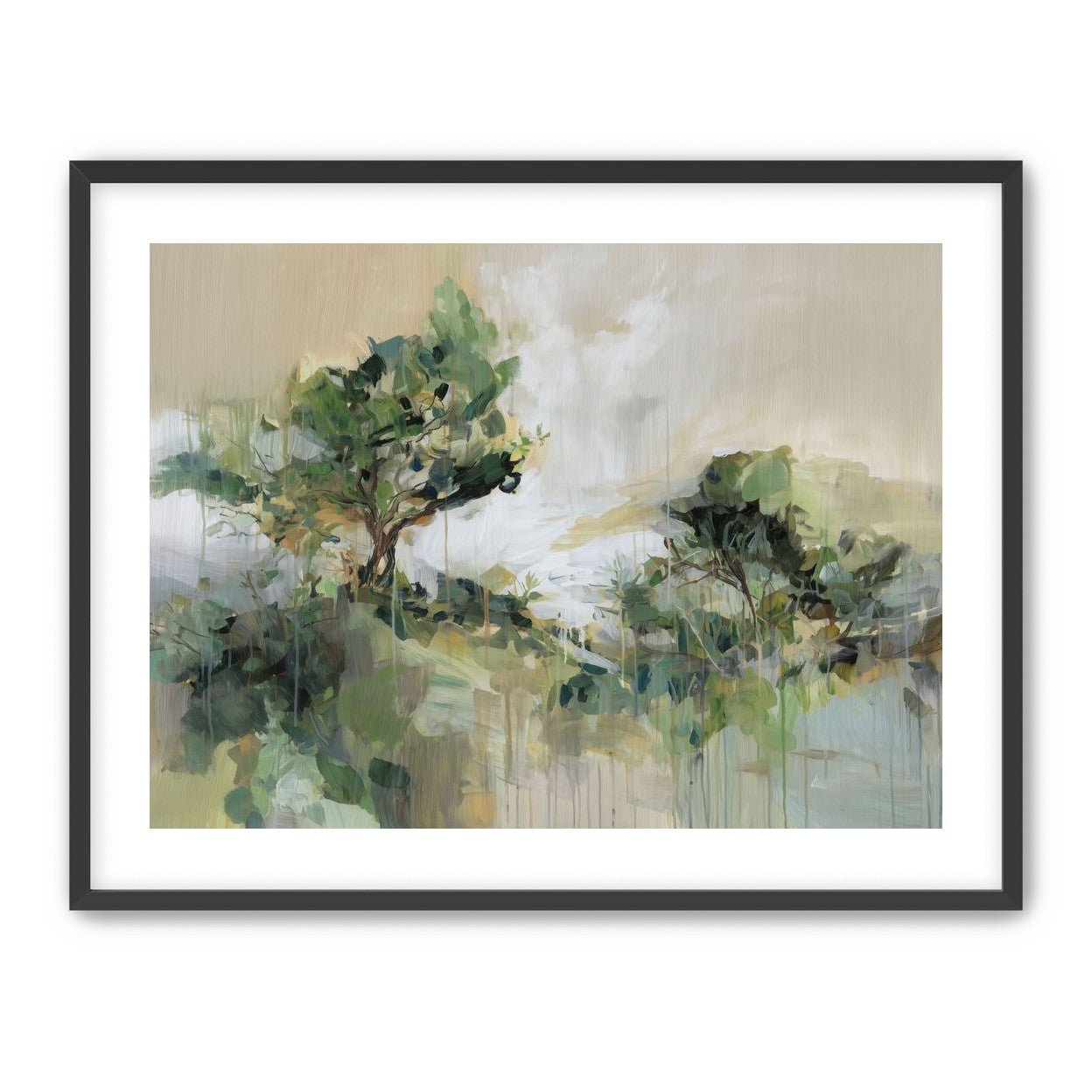 Tree Canopies in Pale Light