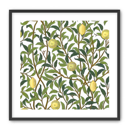 Lemon Garden
