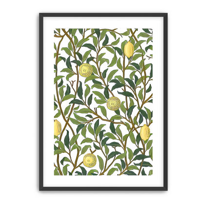 Lemon Garden