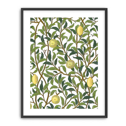 Lemon Garden