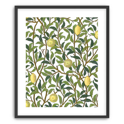 Lemon Garden