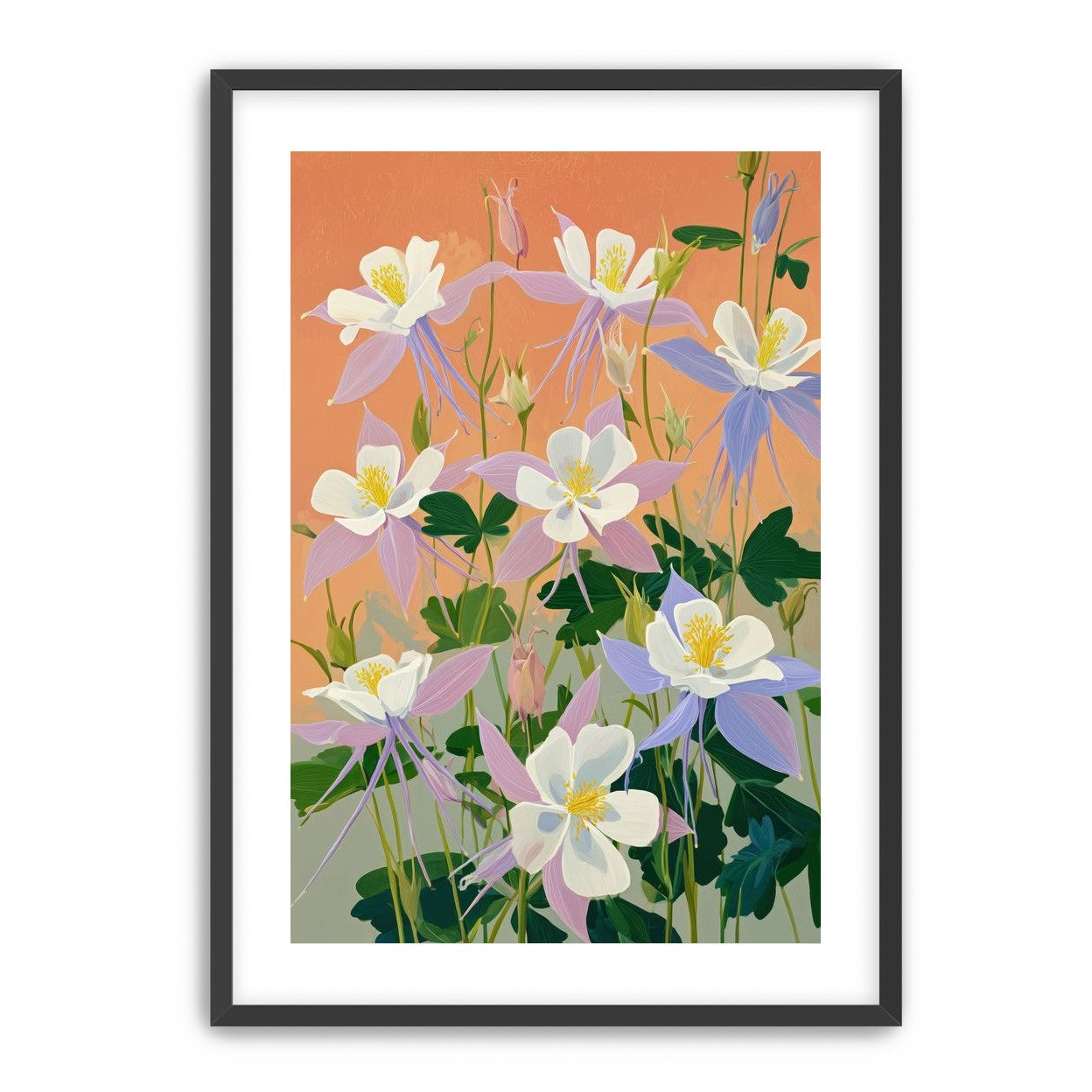 Columbines in Bloom