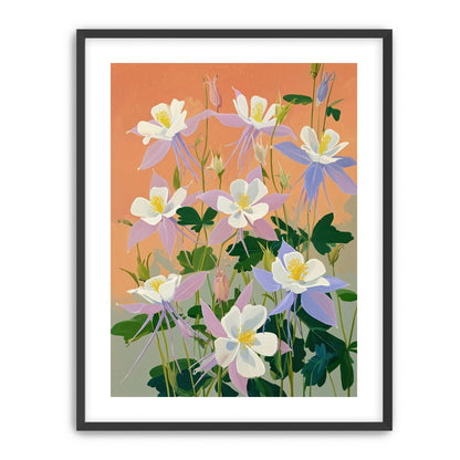 Columbines in Bloom