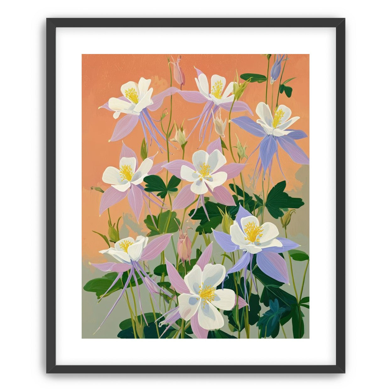 Columbines in Bloom