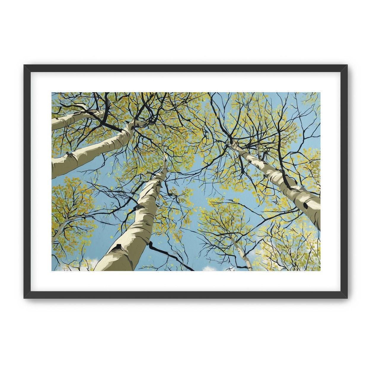 Yellow Leaves Against the Sky