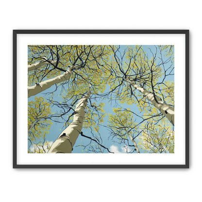 Yellow Leaves Against the Sky