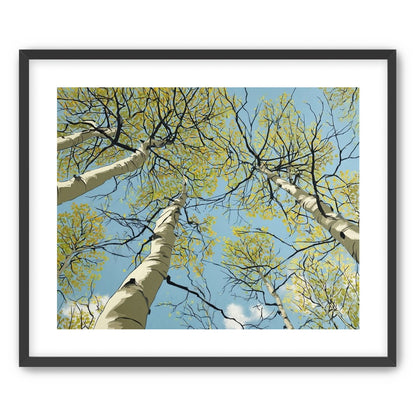 Yellow Leaves Against the Sky