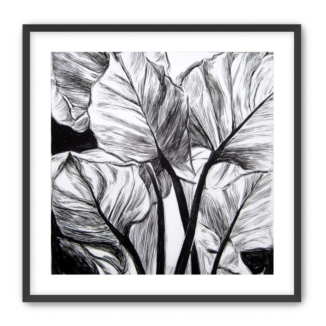 Overlapping Leaves on Dark Ground